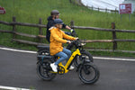 magicycle-deer-suv-ebike-full-suspension-electric-fat-bike-step-thru-20-commuting
