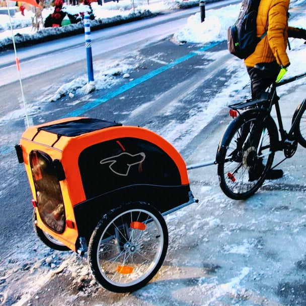 Large bike trailer online