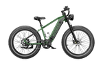 Heybike-Brawn-high-performance-electric-fat-bike-ebike-pine-green-right-side-original