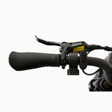 Eunorau Flash 750W Moped E-Bike