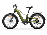 himiway-d5-20-step-over-full-suspension-fat-tire-e-bike-olive-green-left-side