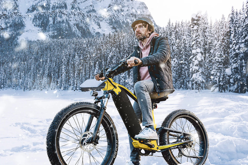 Insulated bike cover shop