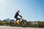 magicycle-deer-suv-ebike-full-suspension-electric-fat-bike-city-cycling