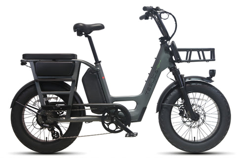 teslica-cg2-care-go-step-thru-cargo-e-bike-right-side