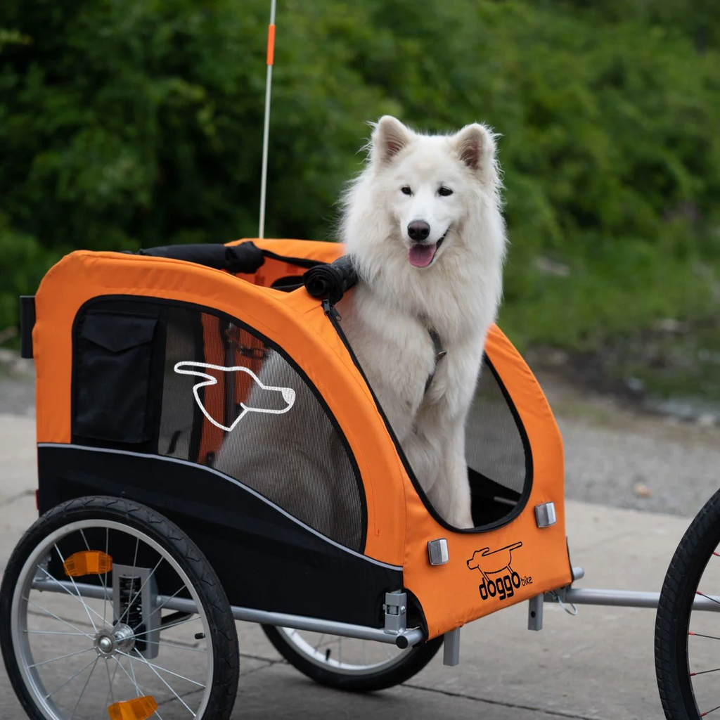 Best dog cart for bike hotsell