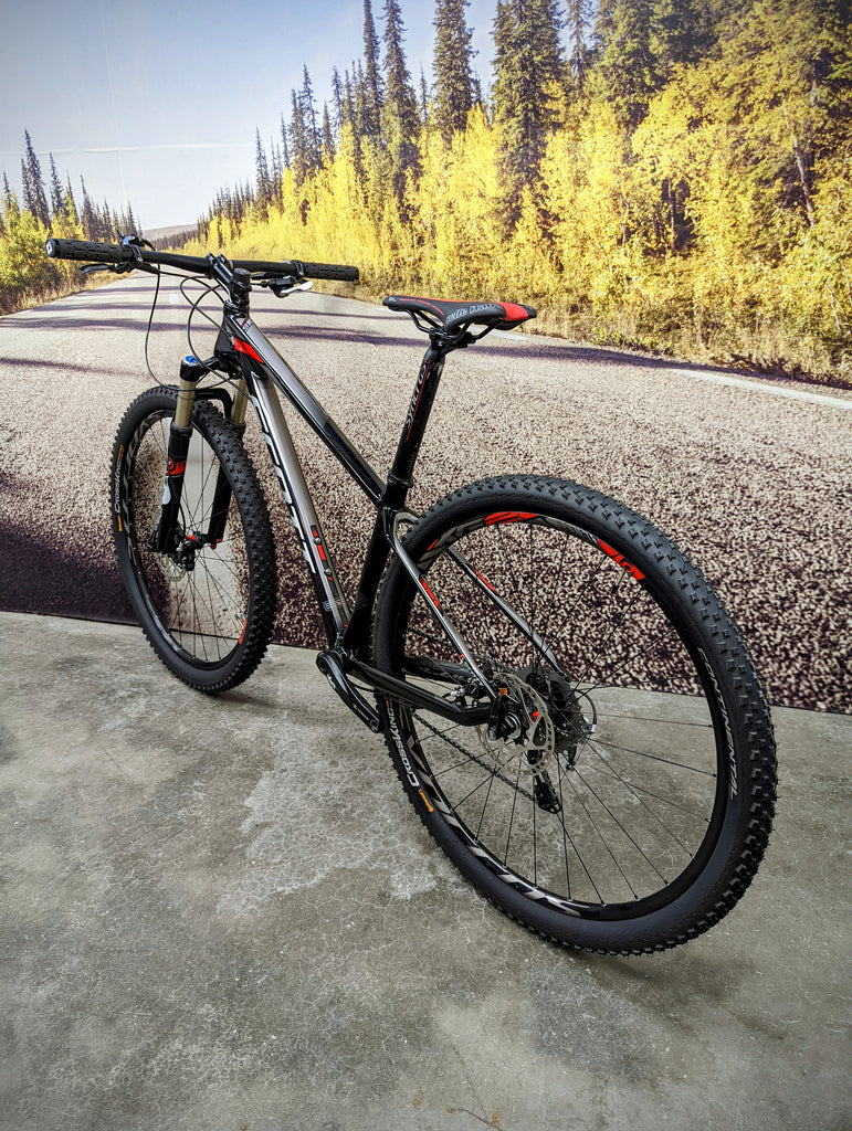 scott scale 10 2009