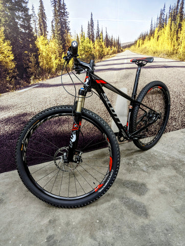 scott scale 10 2009